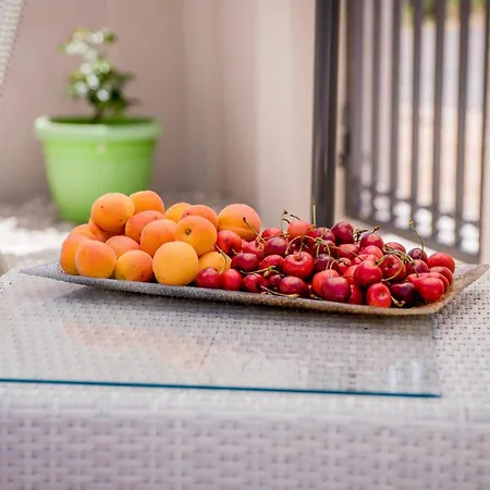 Branka Near Dubrovnik With Pool And Wine Cellar