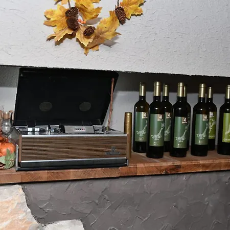아파트 Branka Near Dubrovnik With Pool And Wine Cellar Ivanica