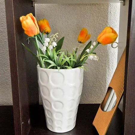 Branka Near Dubrovnik With Pool And Wine Cellar * Ivanica