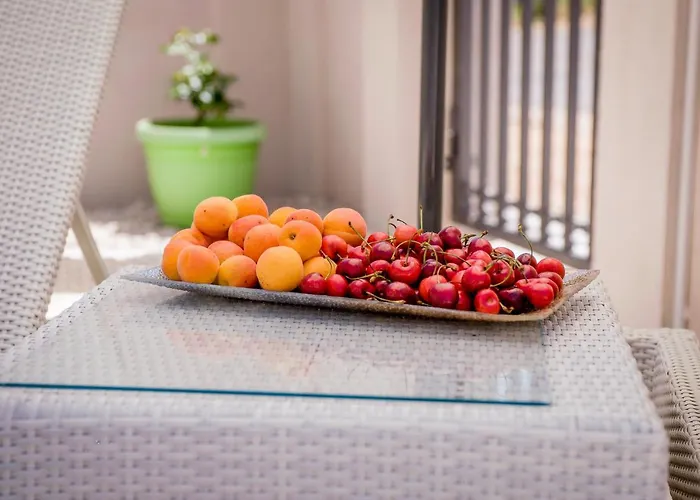 Branka Near Dubrovnik With Pool And Wine Cellar