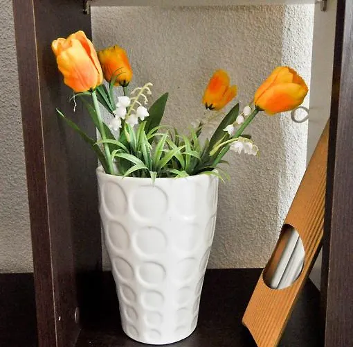 Branka Near Dubrovnik With Pool And Wine Cellar * Ivanica